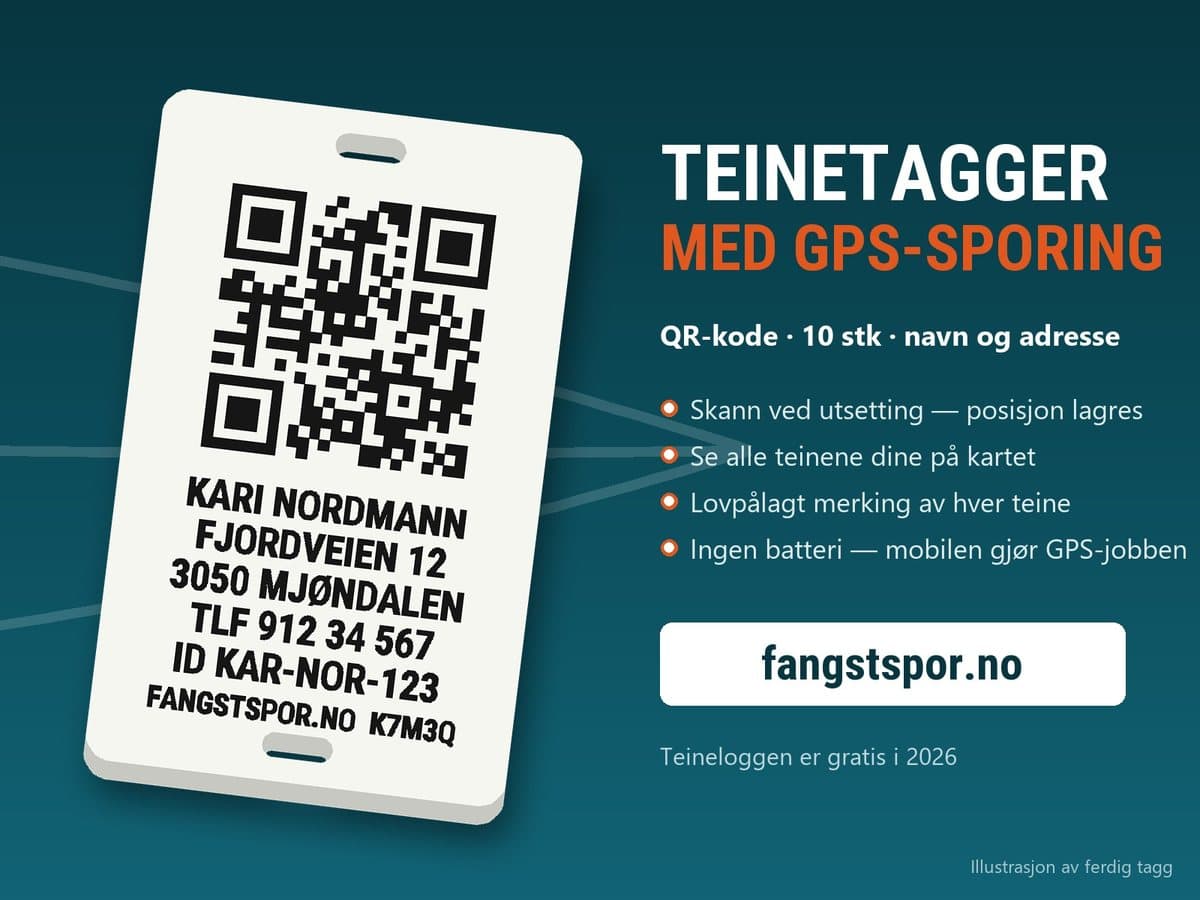 Teinetagger med GPS-sporing via mobilen